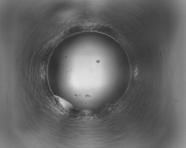 X0000077371204200610201340