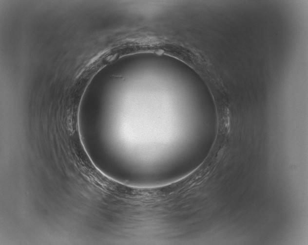 X0000077371205200610201340