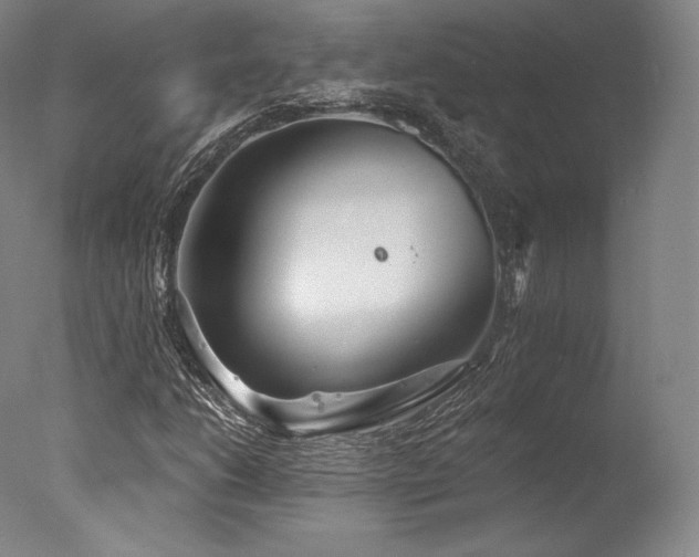 X0000077371206200610201340