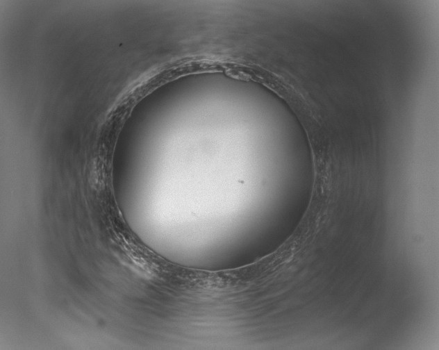 X0000077371207200610201340