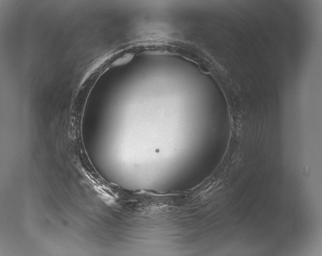 X0000077371208200610201340