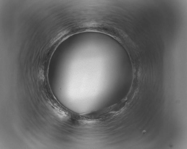 X0000077371209200610201340