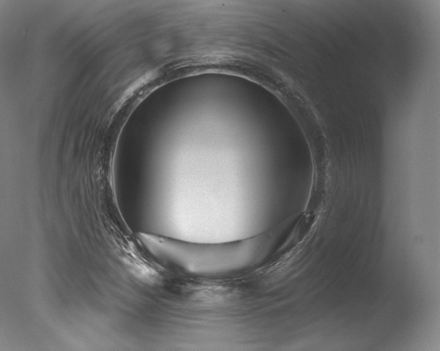 X0000077371210200610201340