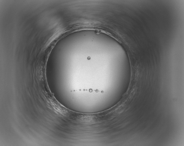 X0000077371211200610201340