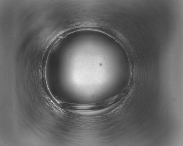 X0000077371212200610201340