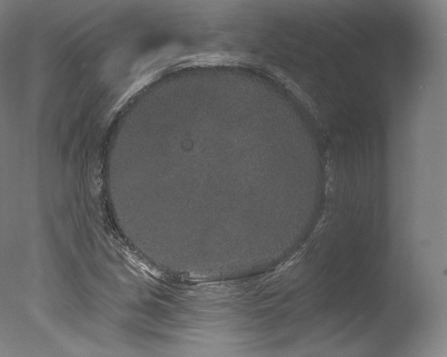 X0000077371213200610201340