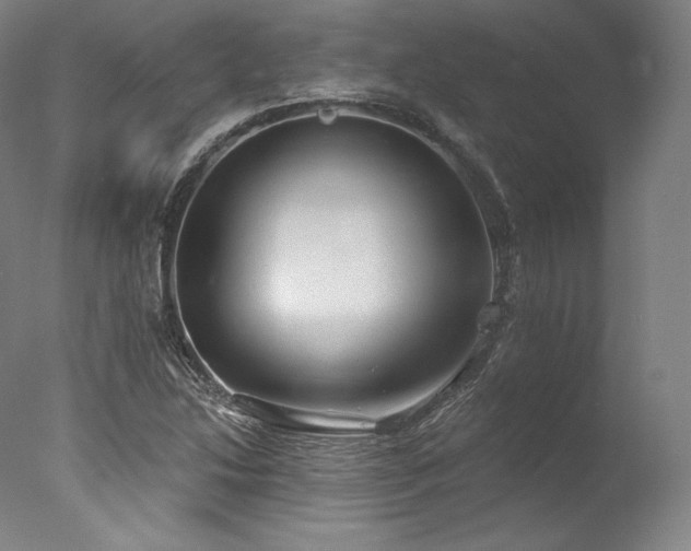 X0000077371214200610201340