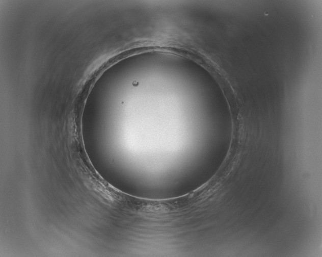 X0000077371215200610201340