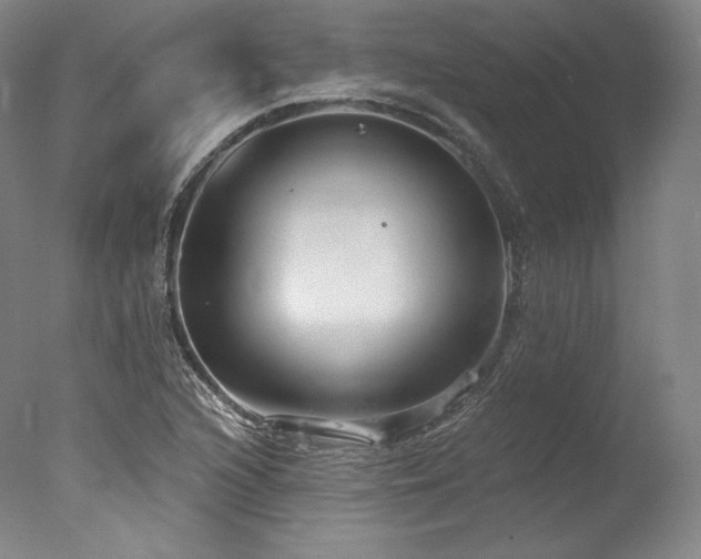 X0000077371216200610201340