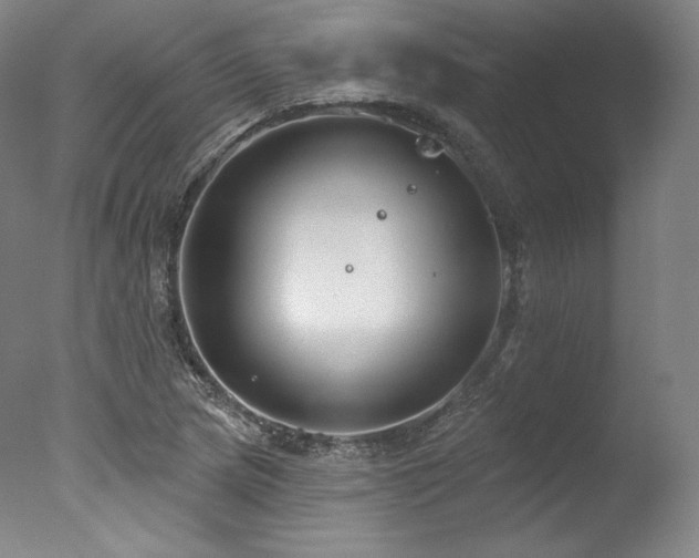 X0000077371217200610201340