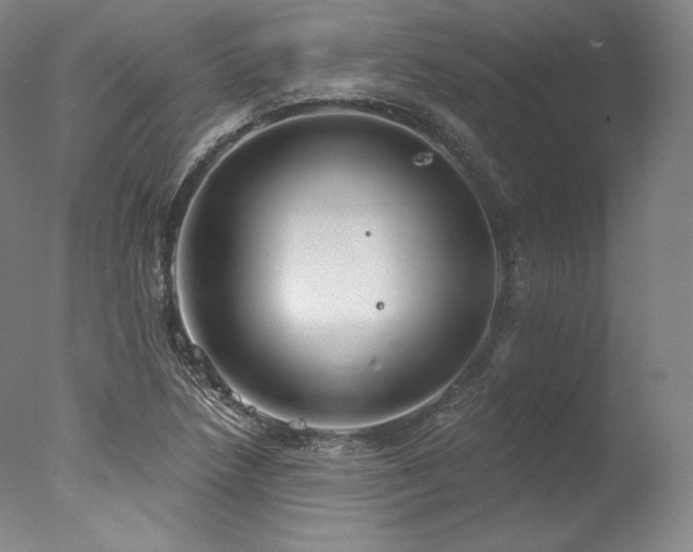 X0000077371218200610201340