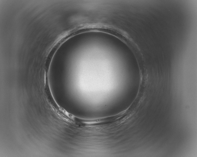 X0000077371221200610201340