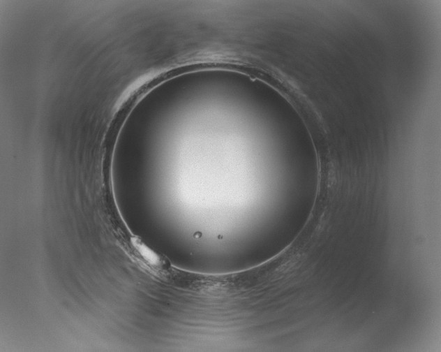 X0000077371222200610201340