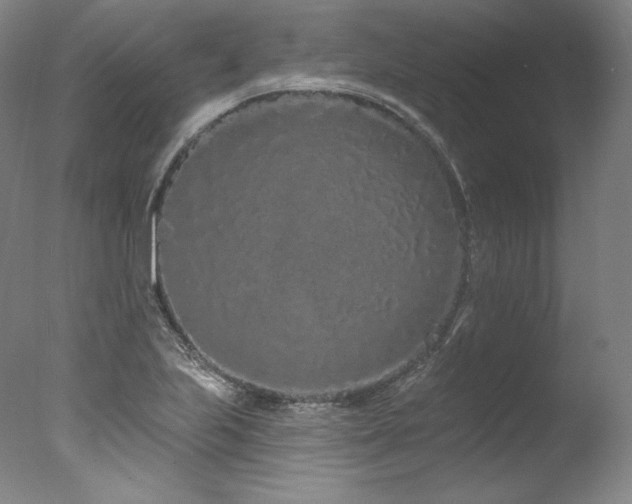 X0000077371223200610201340