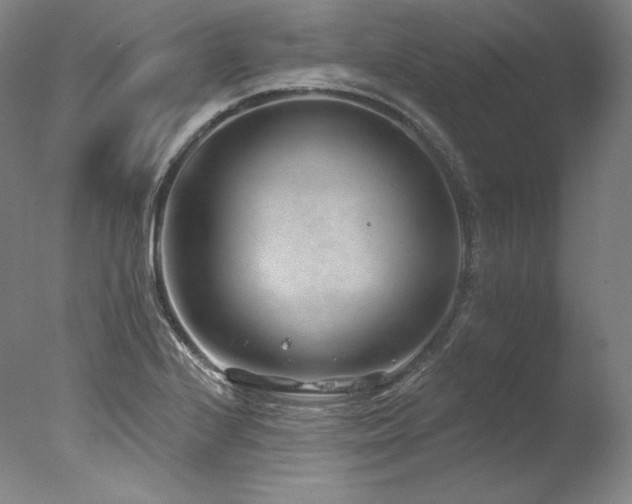 X0000077371224200610201340