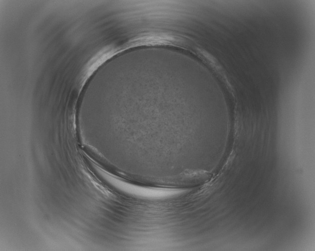 X0000077371226200610201340