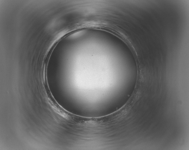 X0000077371227200610201340