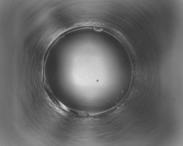 X0000077371228200610201340