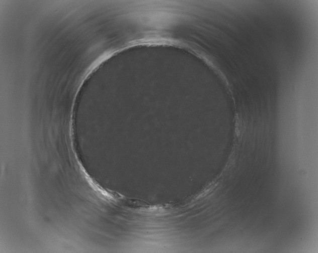 X0000077371229200610201340