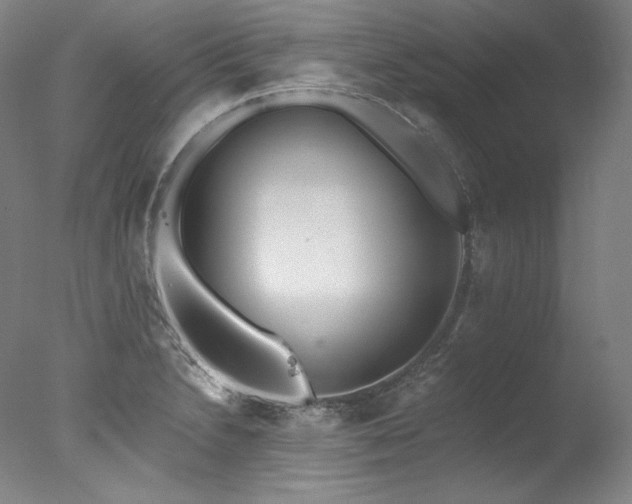 X0000077371230200610201340