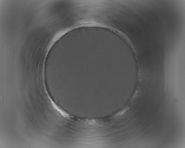 X0000077371231200610201340