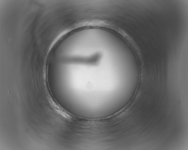 X0000077371232200610201340