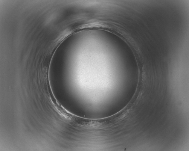 X0000077371233200610201340