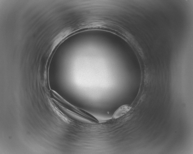 X0000077371234200610201340