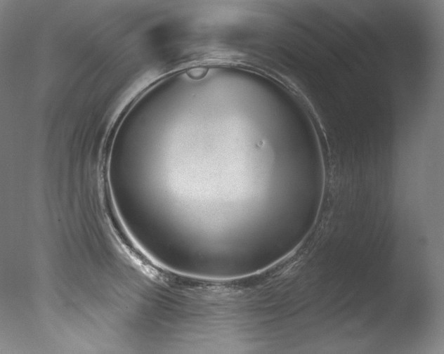 X0000077371235200610201340