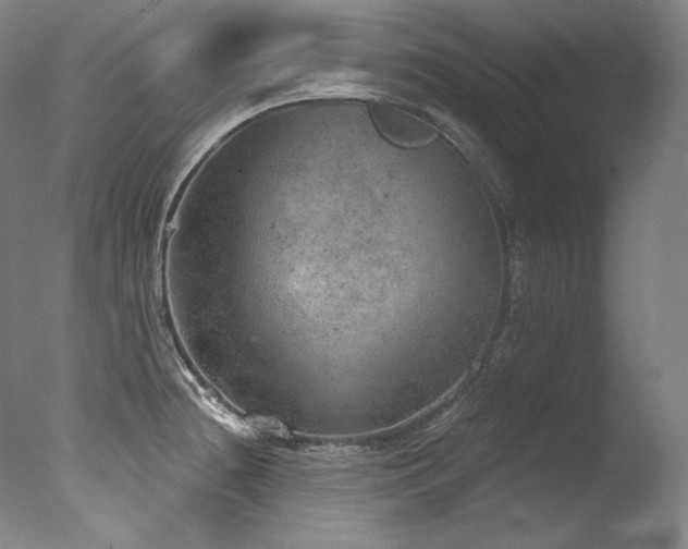 X0000077371236200610201340