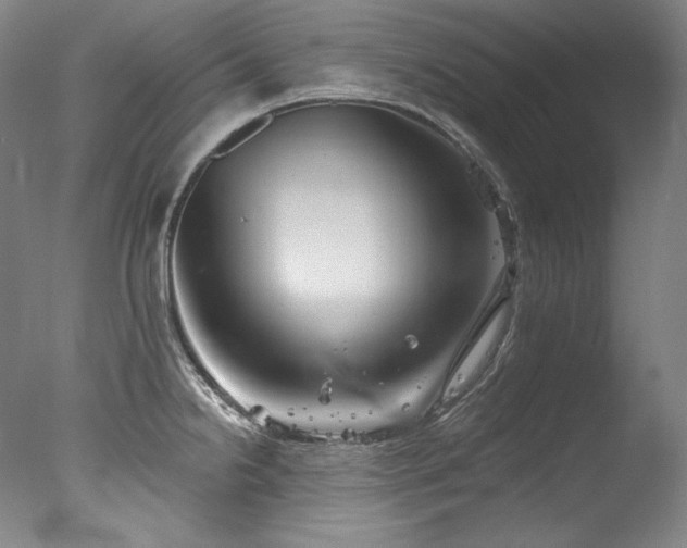 X0000077371238200610201340