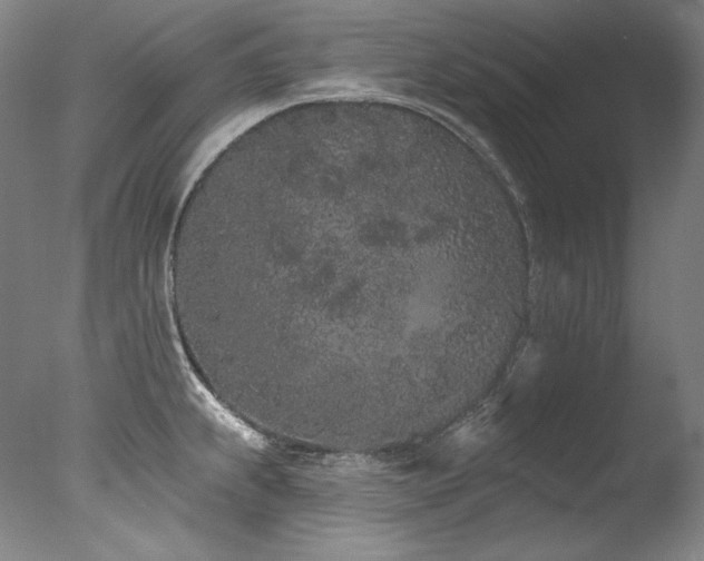 X0000077371239200610201340