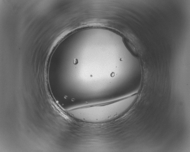 X0000077371240200610201340