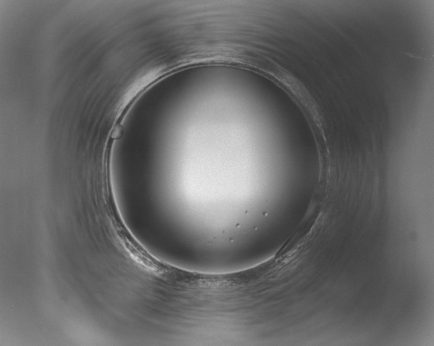 X0000077371242200610201340