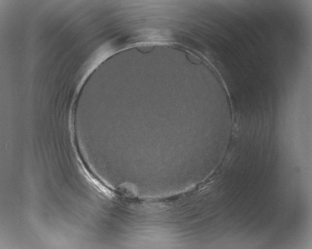 X0000077371243200610201340