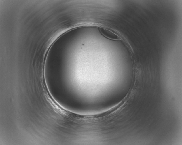 X0000077371244200610201340