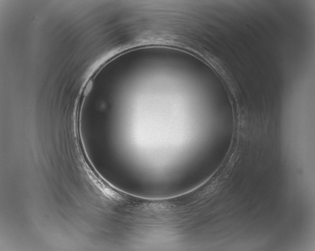 X0000077371246200610201340