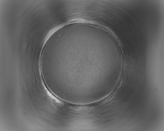 X0000077371247200610201340