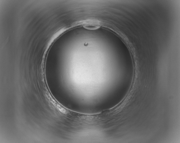 X0000077371248200610201340