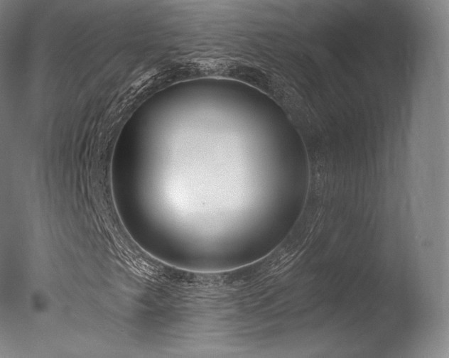 X0000077371249200610201339