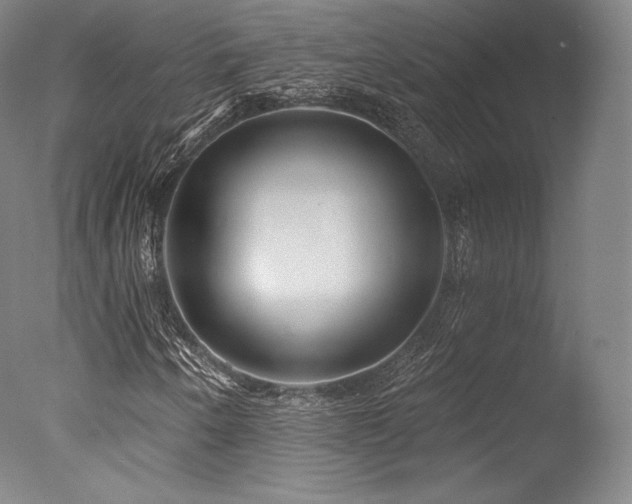 X0000077371250200610201339