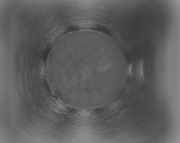 X0000077371251200610201339