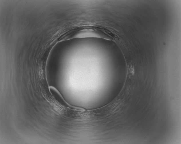 X0000077371252200610201339