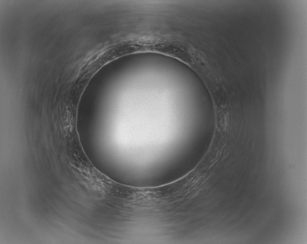 X0000077371253200610201339