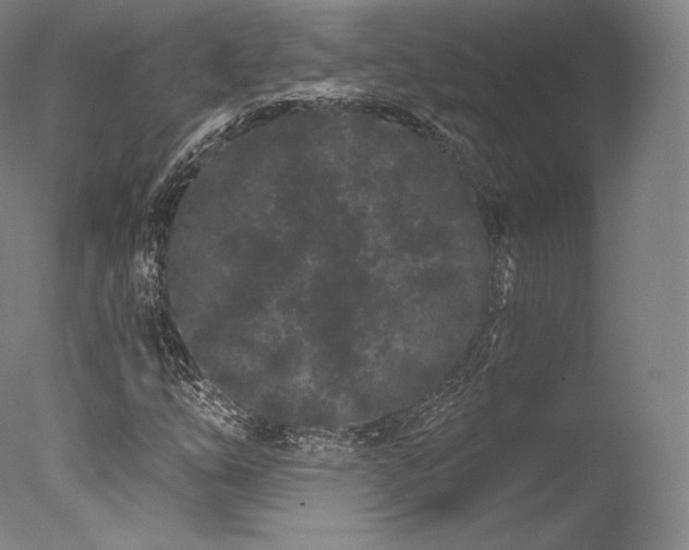 X0000077371254200610201339