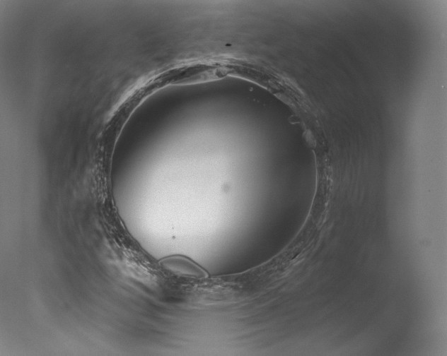 X0000077371256200610201339