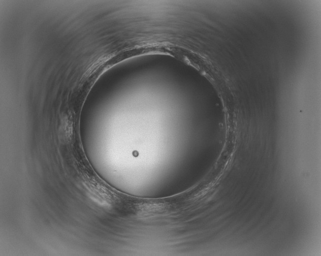 X0000077371257200610201339