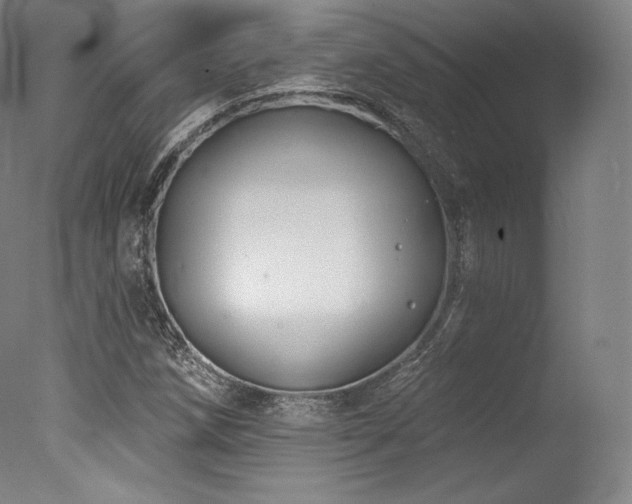 X0000077371258200610201339