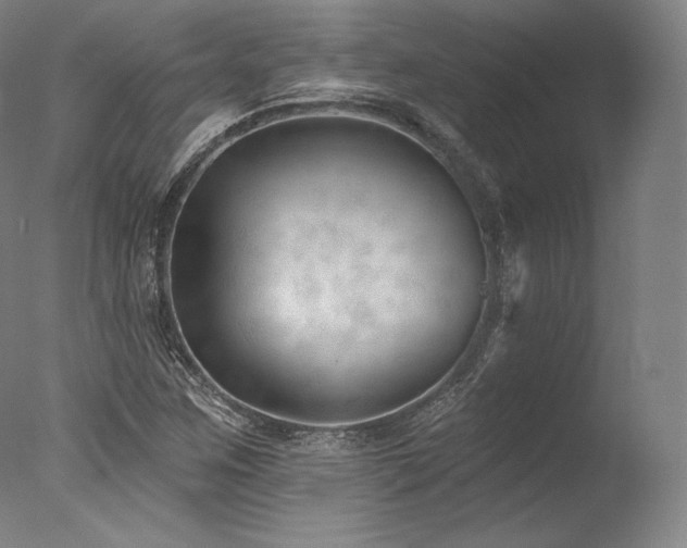 X0000077371259200610201339