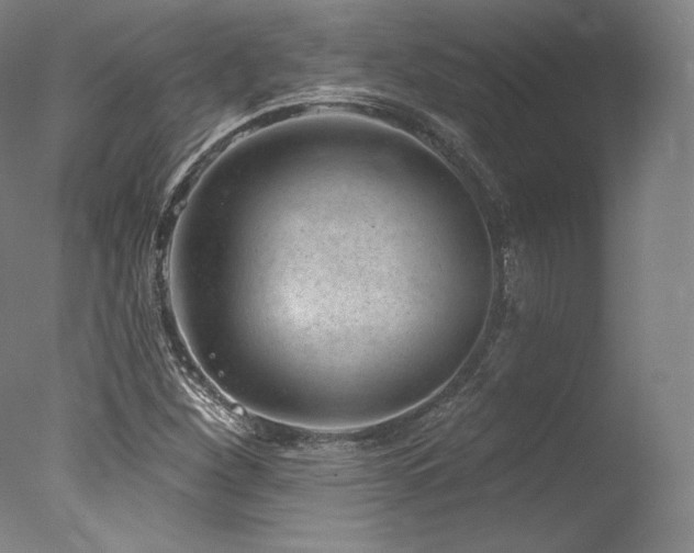 X0000077371260200610201339